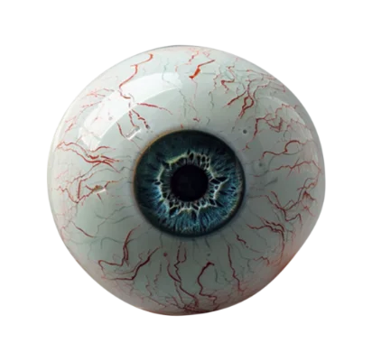 Eye