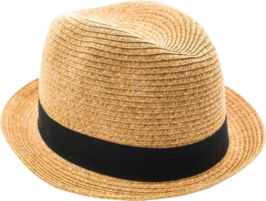 Fedora hat