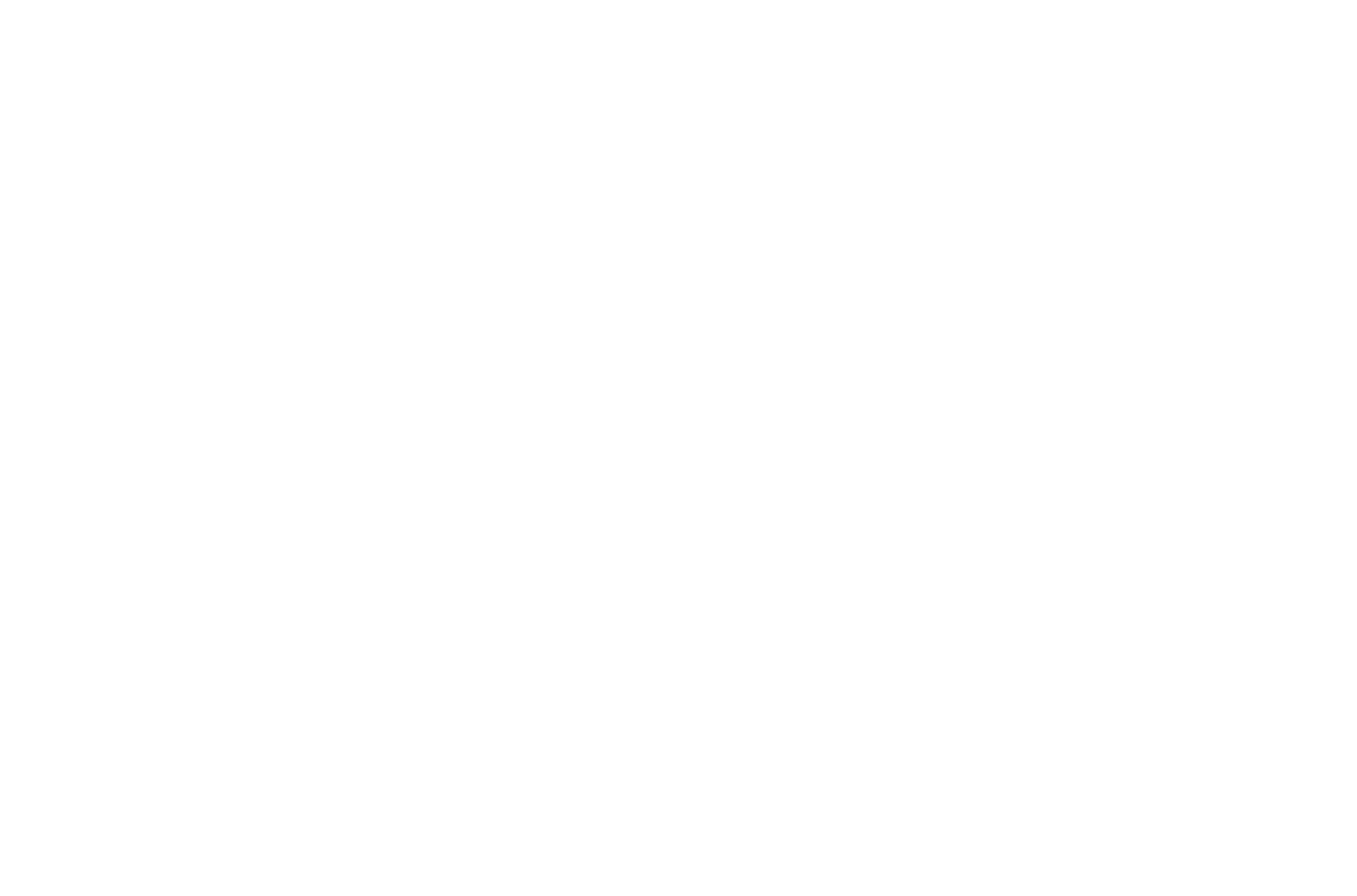 EngageFlow